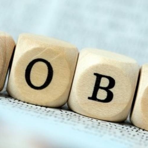 SIGNORA CERCA LAVORO
