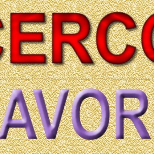 SIGNORA DI MFOGGIA CERCA LAVORO COME COLLABORATRICE DOMESTICA