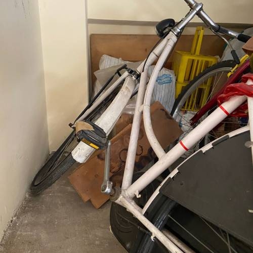 BICICLETTA HOLLAND