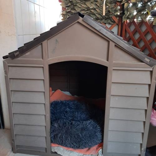 CUCCIA PER CANI