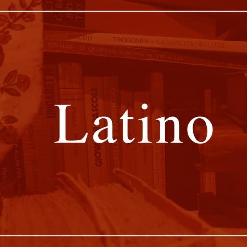 DEBITO IN LATINO? RECUPERO ASSICURATO.