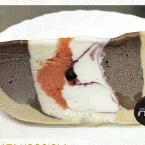 CASSATA NOCCIOLA GIANDUIA E AMARENA