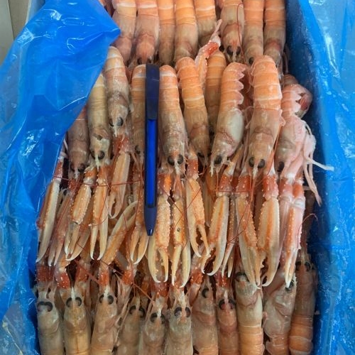 SCAMPI 20/30 IRL. 3X3KG C/BORDO