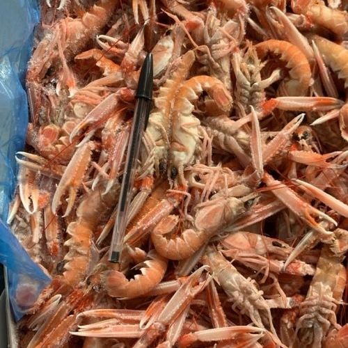 SCAMPI 41/50 IRL. 3X3KG C/BORDO