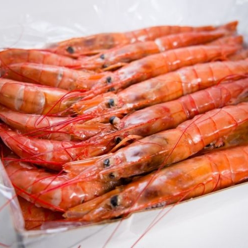 GAMBERI ARGENTINI
