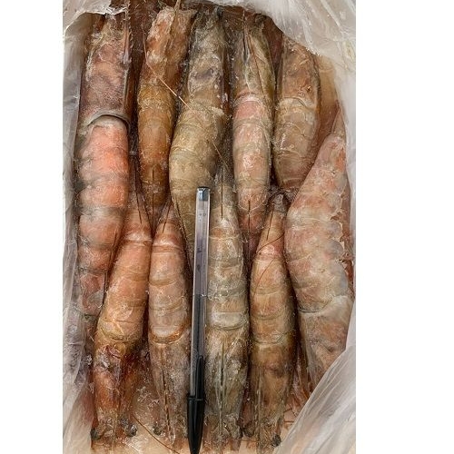 MAZZANCOLLA DI MARE  0/10