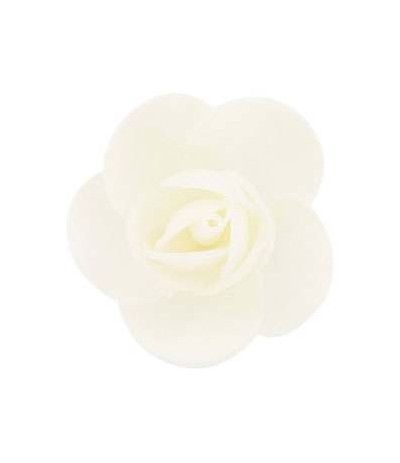 rosa ostia linda bianca