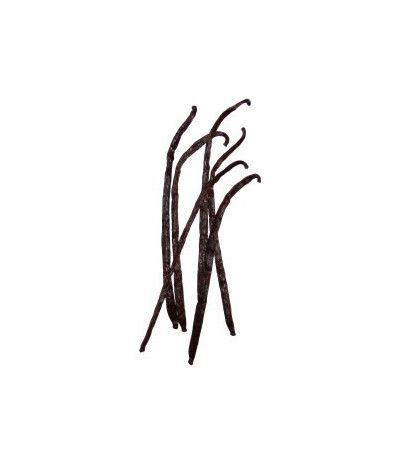Bacche di Vaniglia- 4 gr