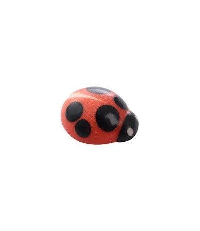 coccinella di cioccolato
