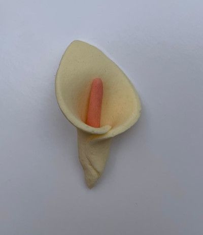 calla di zucchero gialla