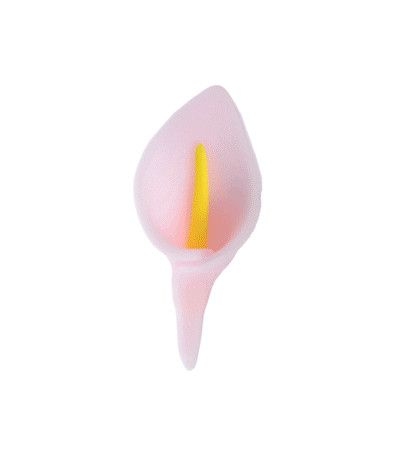 calla di zucchero rosa