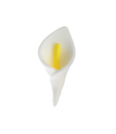 calla di zucchero bianca