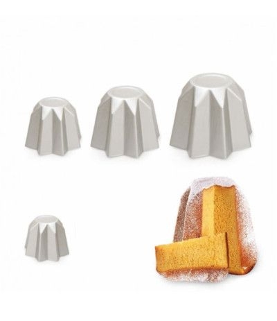 stampo pandoro 750gr