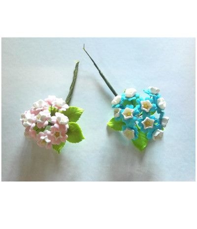 primula polyantha azzurra di zucchero