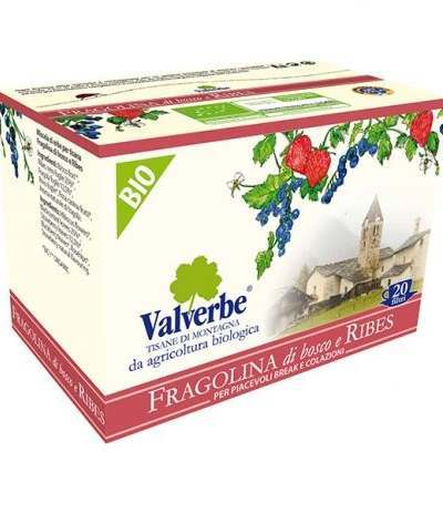 Tisana bio Fragolina di Bosco e Ribes-20 filtri