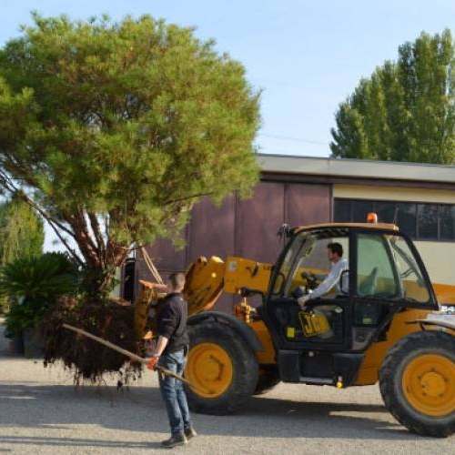 EXPO 2015 - Parco della Biodiversità - MILANO