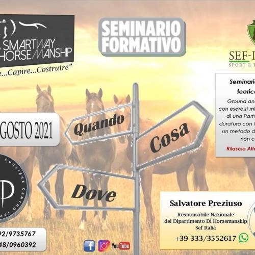 Stage formativo HORSEMANSHIP