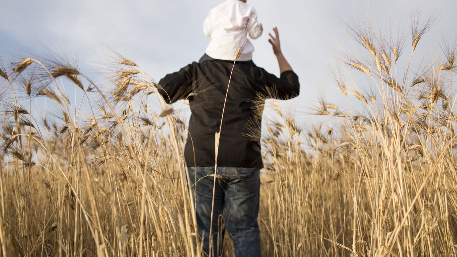 Sogno di una frisella di mezza Estate