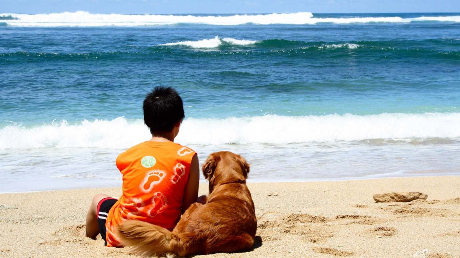 In vacanza con Fido