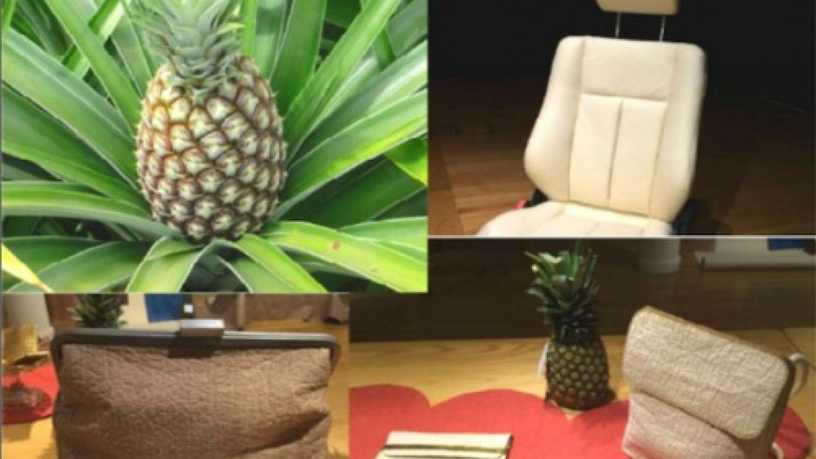 I NUOVI MATERIALI NATURALI