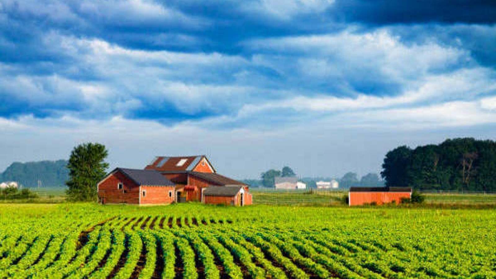 L’ACQUISTO DELLA PROPRIETÀ PER USUCAPIONE DEI TERRENI AGRICOLI. PRESUPPOSTI E PROCEDURA
