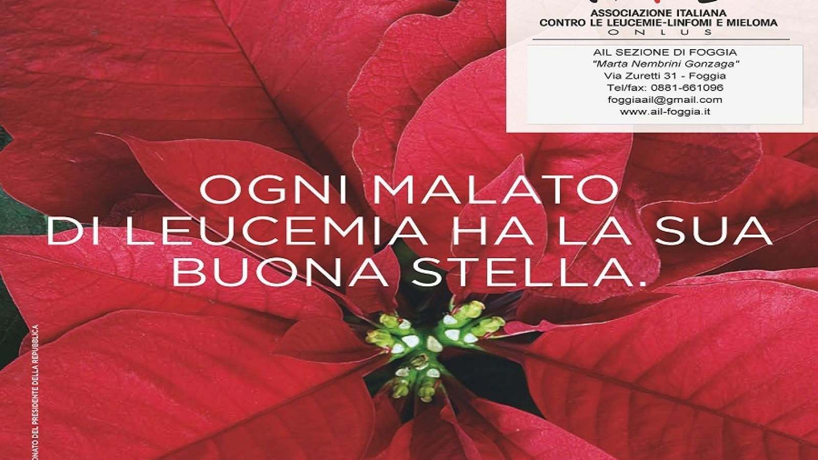 AIL - STELLE DI NATALE 2017