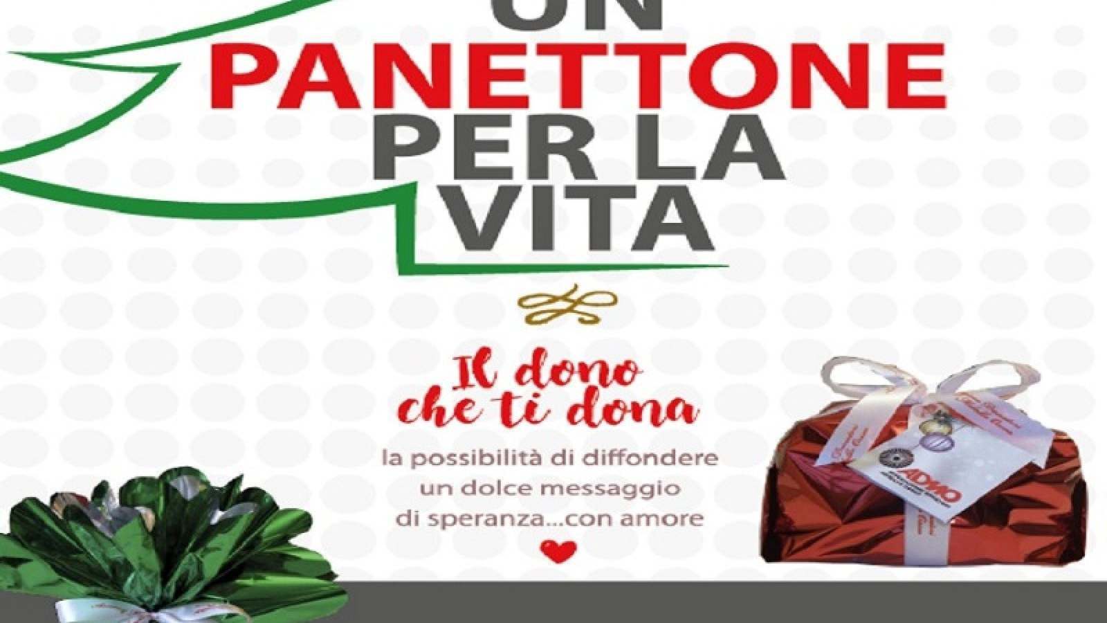 ADMO: UN PANETTONE PER LA VITA