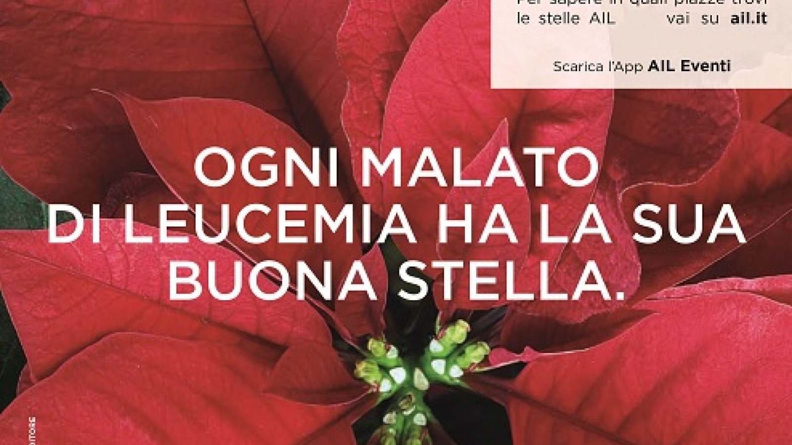 OGNI MALATO DI LEUCEMIA HA LA SUA BUONA STELLA