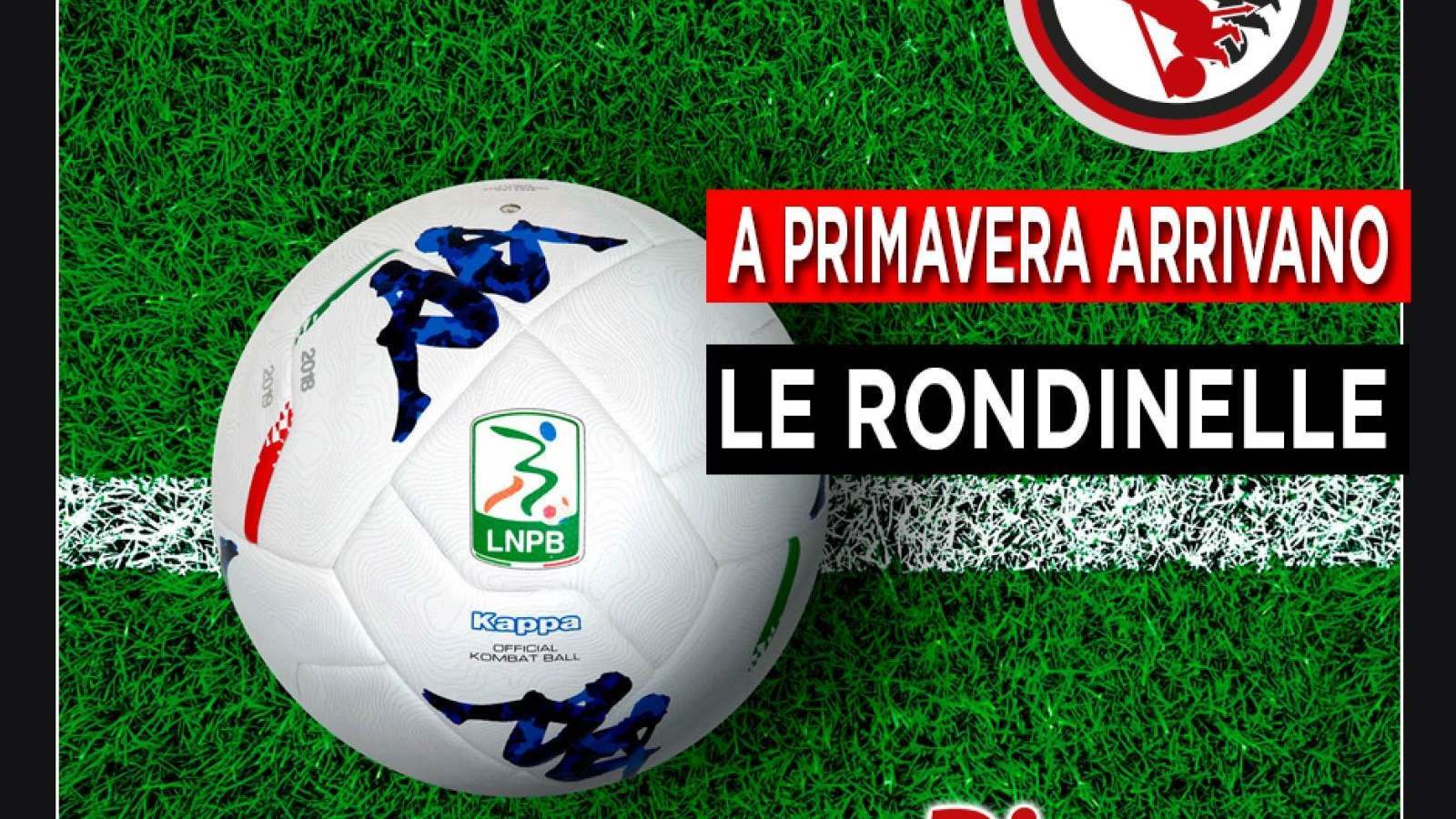 A PRIMAVERA ARRIVANO LE RONDINELLE