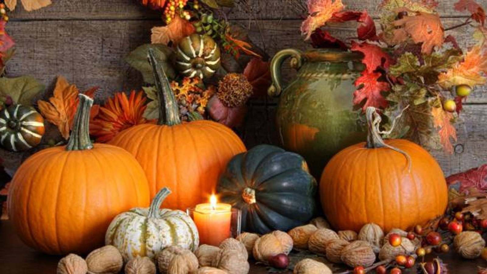 ZUCCA: 5 ERRORI CHE FACCIAMO SPESSO