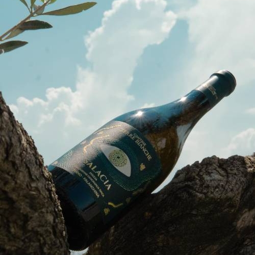 LA PUGLIA TRIONFA IN FRANCIA: MEDAGLIA D'ORO AL "SALACIA" DI CANTINA TERRE BIANCHE CAPPABIANCA