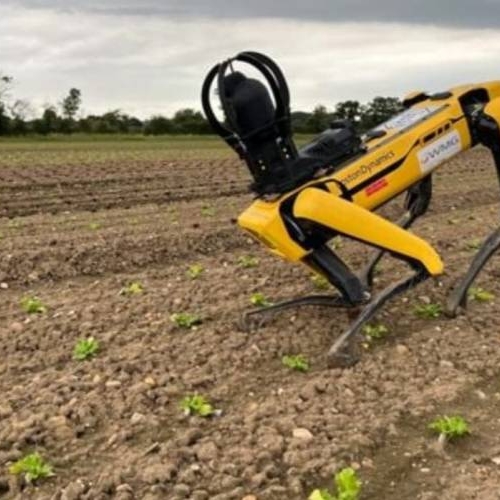 Agricoltura Autonoma: Il Futuro Silenzioso dei Campi Italiani