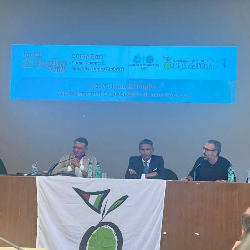 Oleoturismo in Puglia: nuove opportunità tra esperienze, lavoro e territorio
