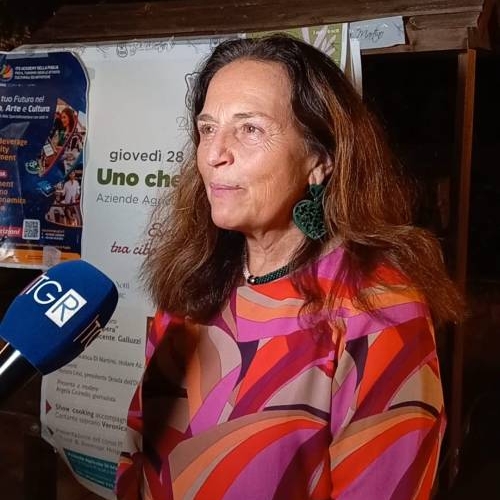 Dalla Murgia al Mare: l'Olio che racconta la Puglia