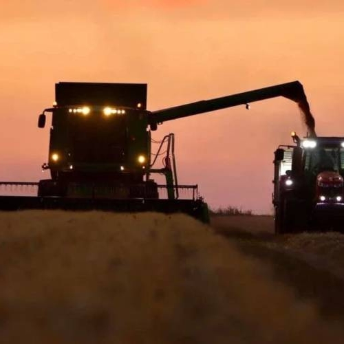 La produzione di grano duro in Italia cresce del 12%: prospettive, sfide e scenari futuri.
