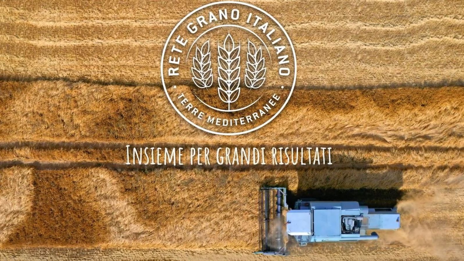 On line il video di presentazione della Rete Grano Italiano