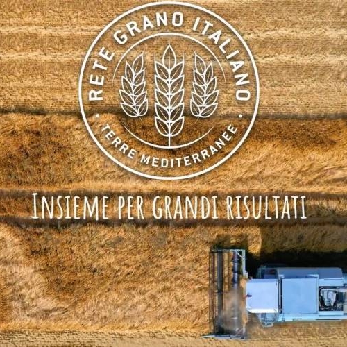 On line il video di presentazione della Rete Grano Italiano