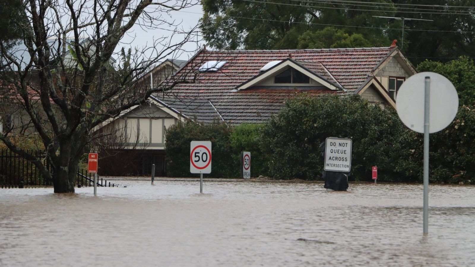 RevitaRUGS: Your Solution to Flooded Homes and Damaged Rugs