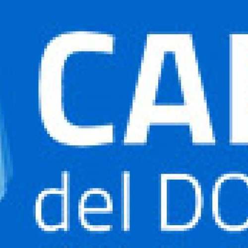 Carta del docente