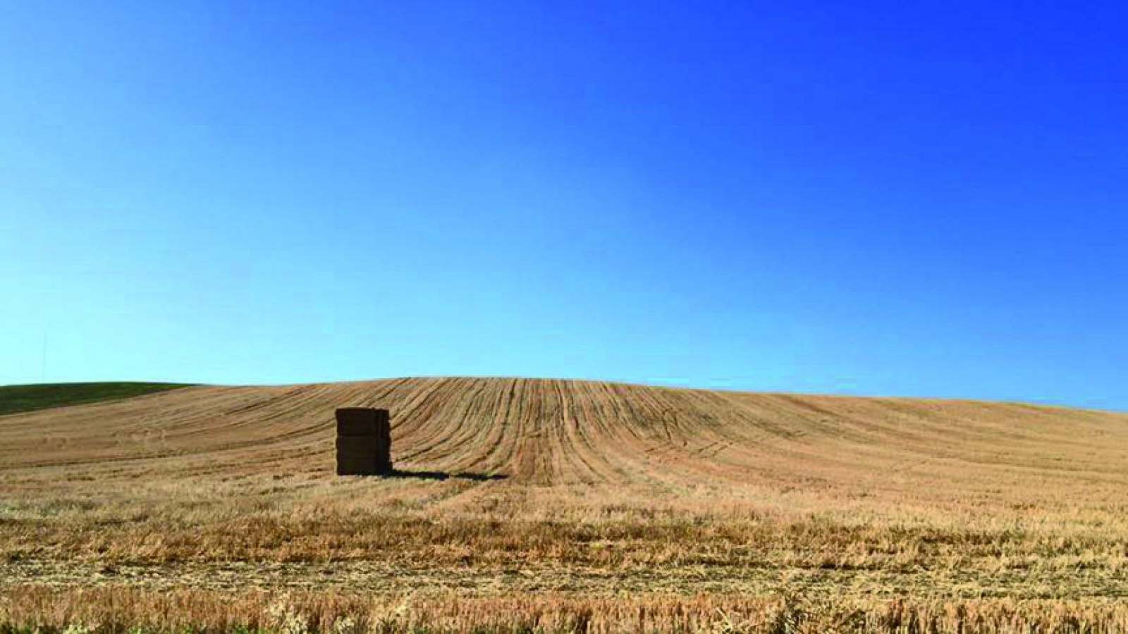 DE VITA MARISA — foto 5