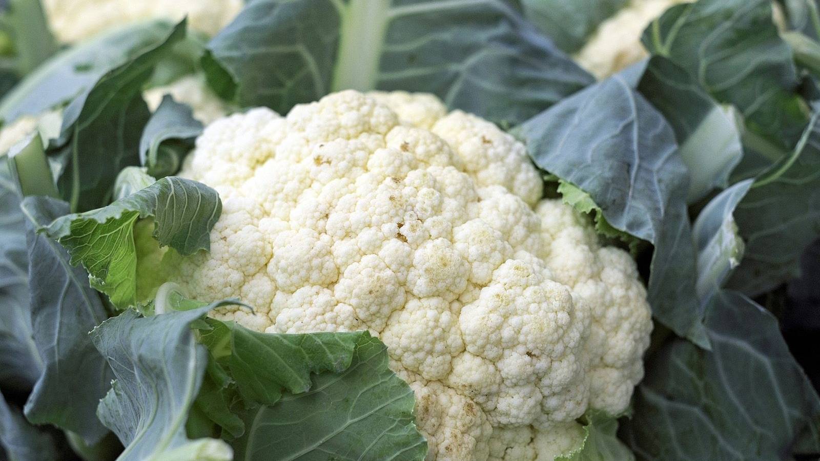 Cauliflower