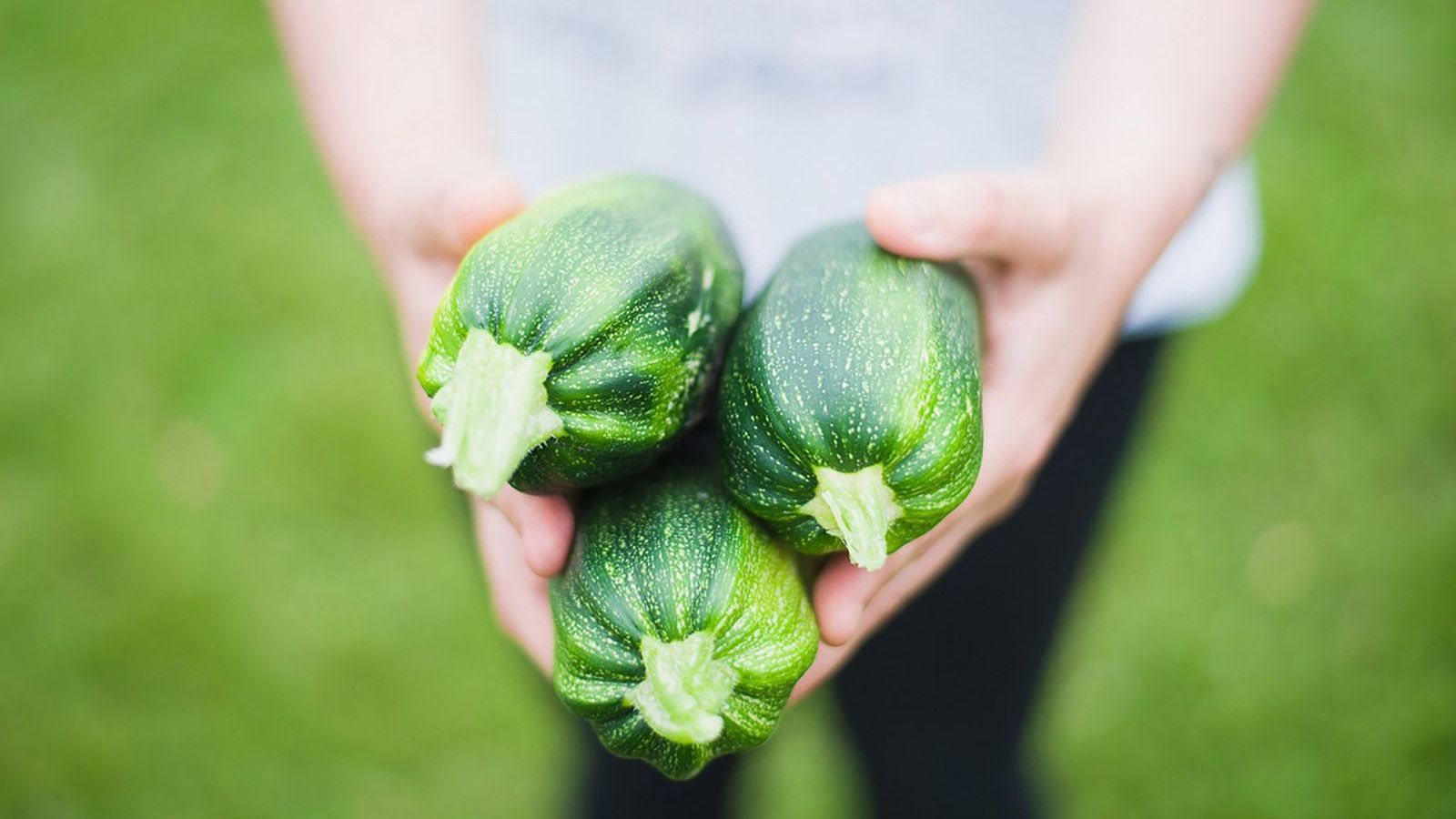 Zucchini